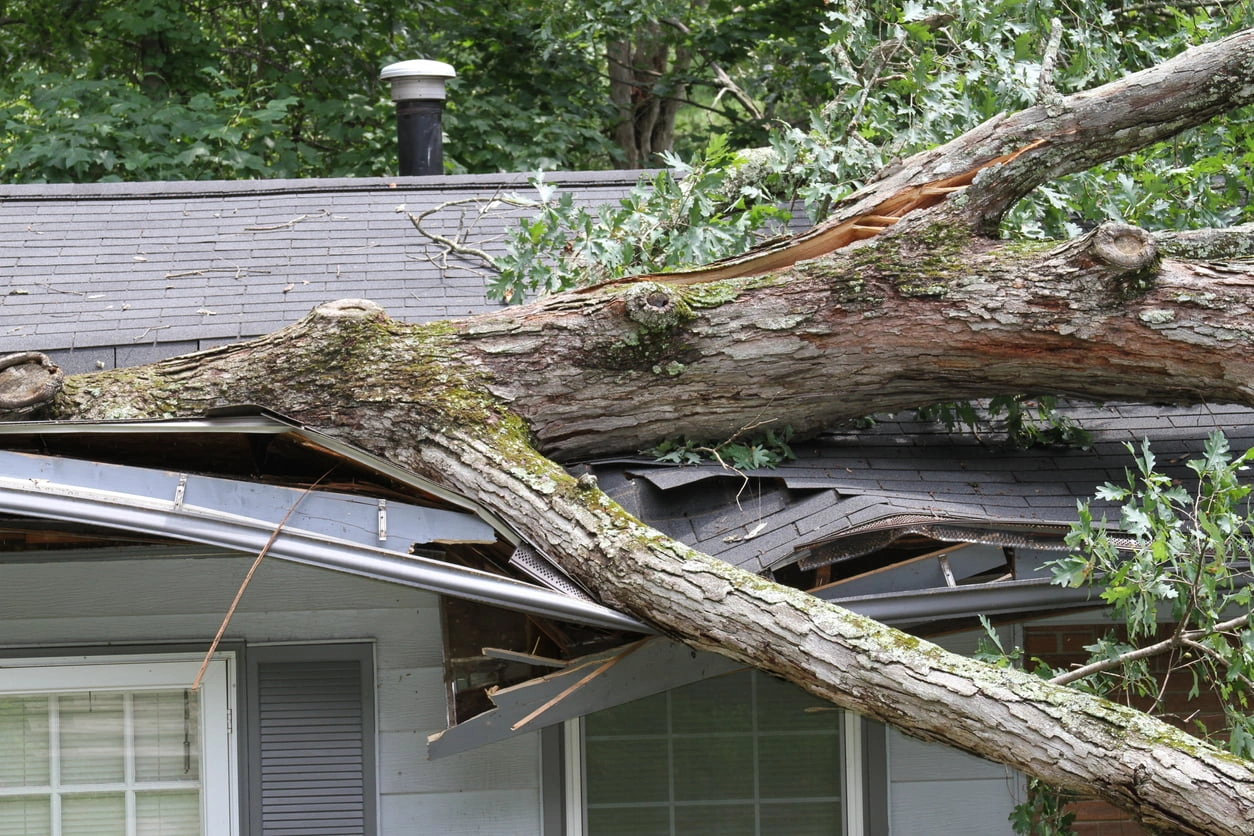 home insurance